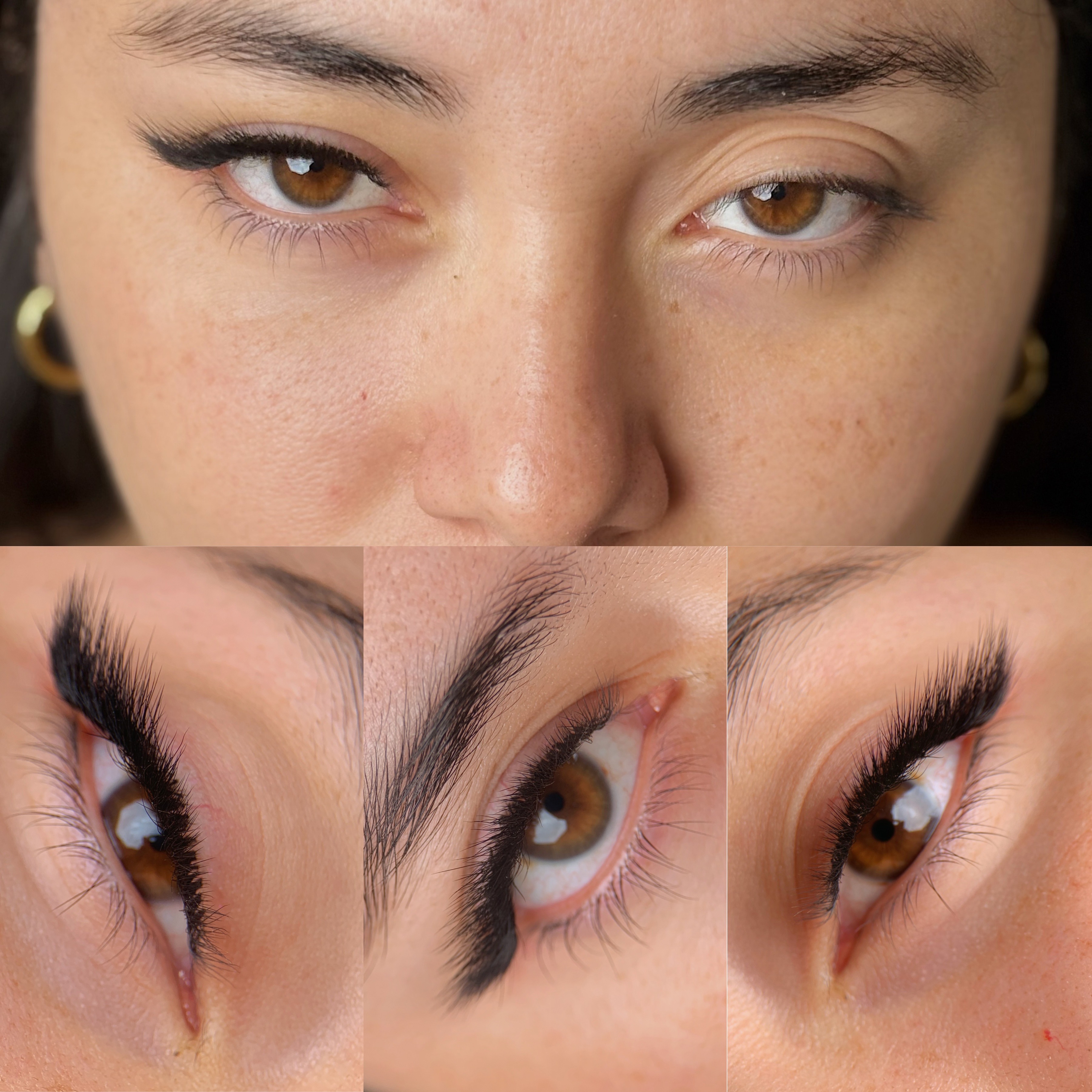 Efecto Delineado Camellia M