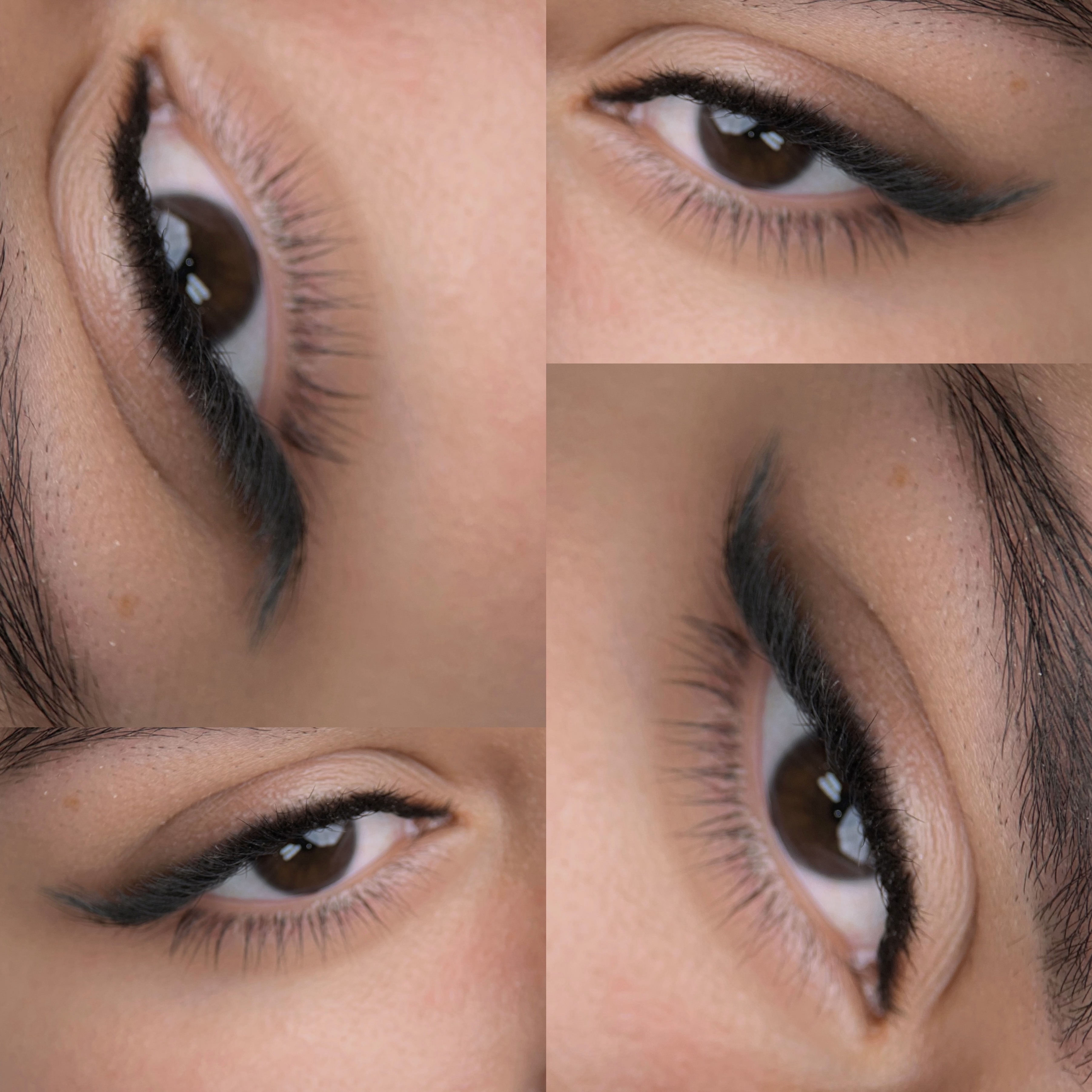 Efecto Delineado Combinación de curvas